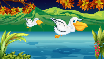 Obraz na płótnie Canvas Dwa latające zwierzęta w rzece