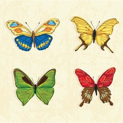 Butterfly Icons