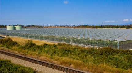 Row of greenhouses with train tracks