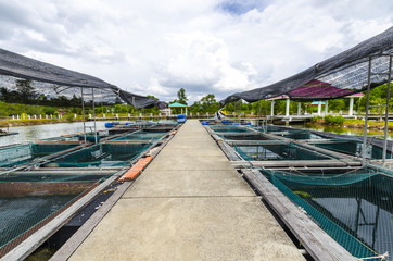 Fish farm in the province of Krabi. Thailand
