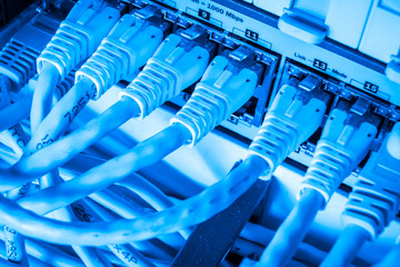 Fototapeta premium network hub and patch cables