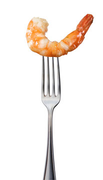 Gamba auf Gabel