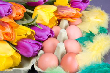 easter eggs, tulips and feather