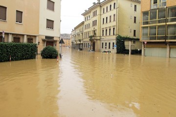 cars in the streets and roads submerged by the mud of the flood