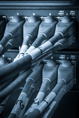 ethernet cables connected to switch