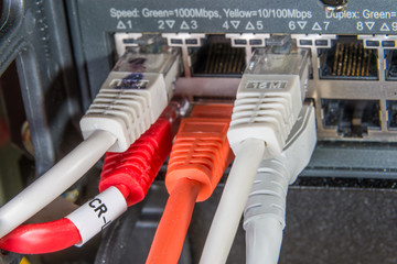 ethernet cables connected to switch