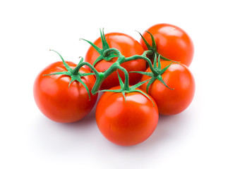 Tomato branch