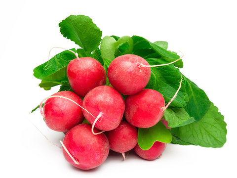 Radieschen