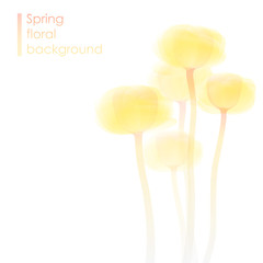 Ranunculus bouquet / spring flower background