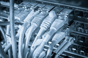 Fototapeta premium network hub and patch cables
