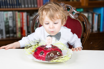 Little boy celebrating third birthday and blowing off  candles © Irina Schmidt