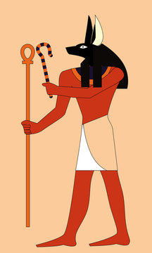 anubi
