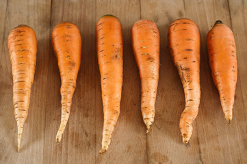carottes lavées