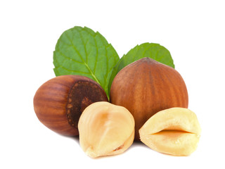 Hazelnuts with leaves_III