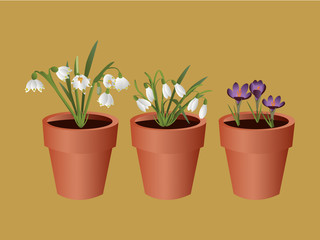 Obraz premium Spring flowerpots