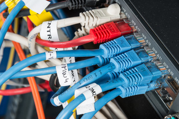 ethernet cables connected to switch