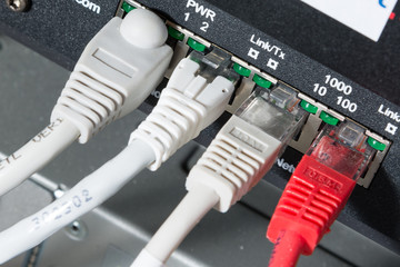 network hub and patch cables