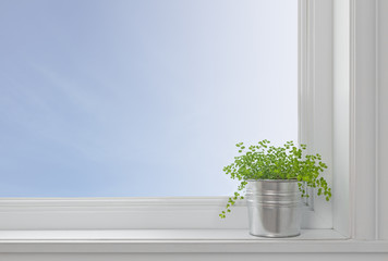 Green plant on a window sill, in a modern home