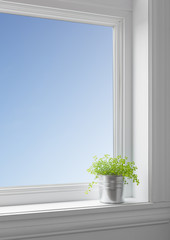 Green plant on a windowsill, with blue sky seen through the wind