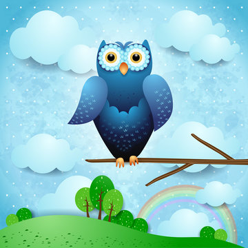Owl and countryside