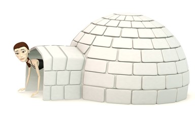 3d render of cartoon character withan igloo