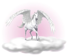 pegaso © Piumadaquila.it