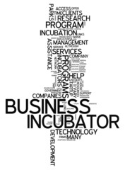 Word Cloud "Business Incubator"