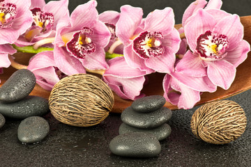 Fototapeta na wymiar Orchidea z kamieniami bazaltowymi
