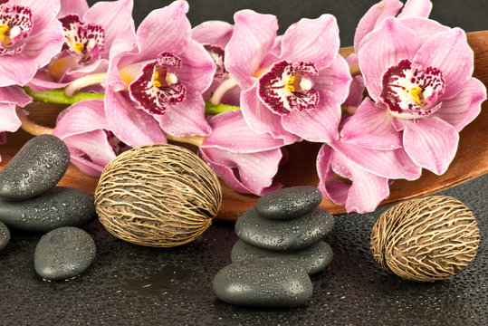 Fototapeta Orchidea z kamieniami bazaltowymi