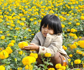 Children to happy in yellow flower garden