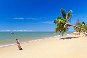 Fototapeta na wymiar Beautiful tropical beach with coconut palm tree in Thailand
