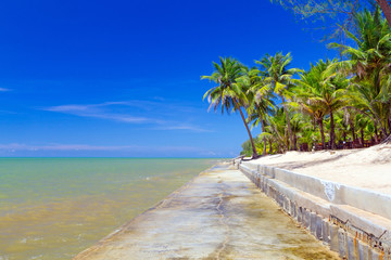 Beautiful tropical beach with coconut palm tree in Thailand