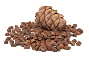 Cedar nuts and cone (isolated)