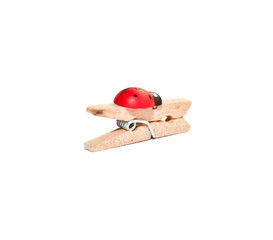 wooden clothespeg with a ladybug