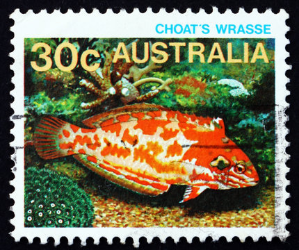 Postage stamp Australia 1984 Choati Leopard Wrasse, fish