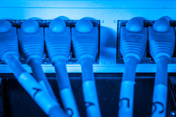 network hub and patch cables