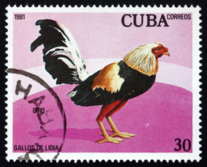 Postage stamp Cuba 1981 Giro, Fighting Cock