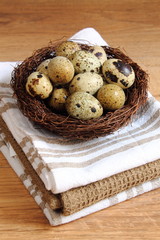 Huevos de codorniz en un nido