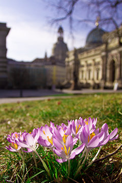 Fr&uuml;hlingsanfang