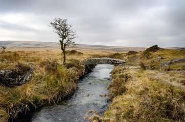 Fototapeta na wymiar Zima w Dartmoor