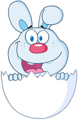 Surprise Blue Bunny Peeking Out Of An Easter Egg