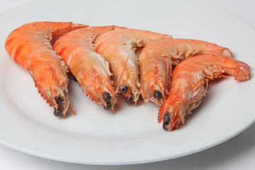 gambas