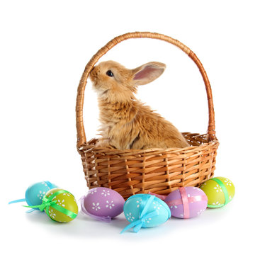 Fluffy foxy rabbit in basket with Easter eggs isolated on white