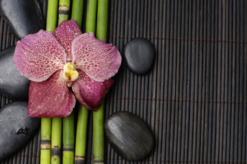 Beautiful orchid with bamboo grove on bamboo stick straw mat