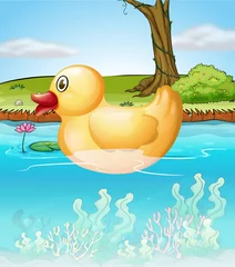 Peel and stick wall murals River, lake The yellow toy duck in the pond