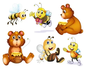 Foto auf Acrylglas Bären Zwei Bären und vier Bienen