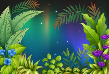Photo sur Plexiglas Animaux de la forêt Une vue matinale avec des plantes