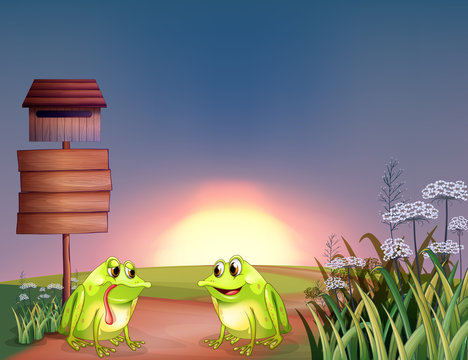 Two frogs beside a wooden mailbox and an empty signage