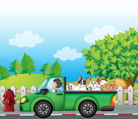 Een groene auto langs de straat met honden achterop