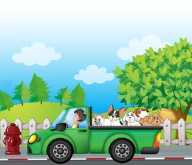 Fototapete Bauernhof Ein grünes Auto entlang der Straße mit Hunden hinten
